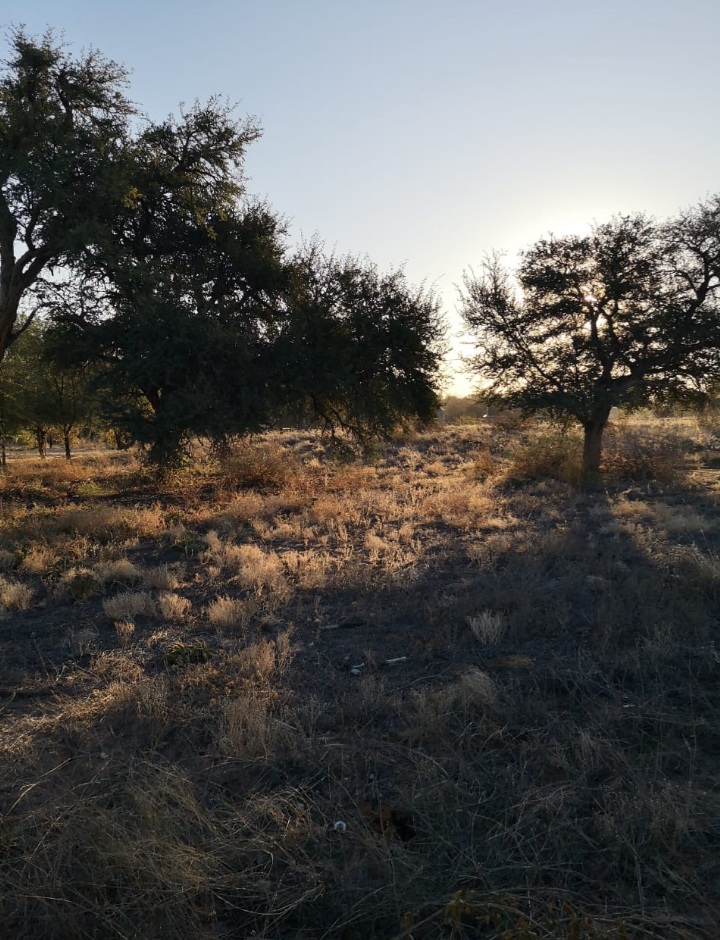Commercial Property for Sale in Askham Northern Cape